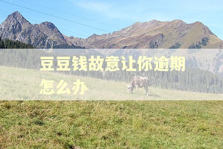 豆豆钱故意让你逾期怎么办