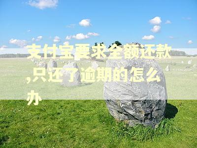 支付宝要求全额还款,只还了逾期的怎么办