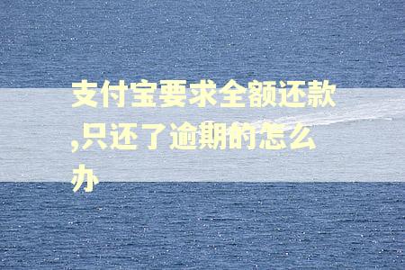 支付宝要求全额还款,只还了逾期的怎么办