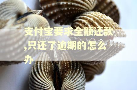 支付宝要求全额还款,只还了逾期的怎么办