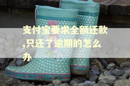 支付宝要求全额还款,只还了逾期的怎么办
