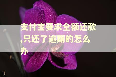 支付宝要求全额还款,只还了逾期的怎么办
