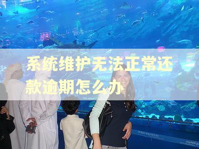 系统维护无法正常还款逾期怎么办