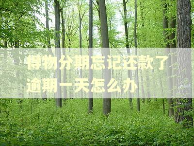 得物分期忘记还款了逾期一天怎么办