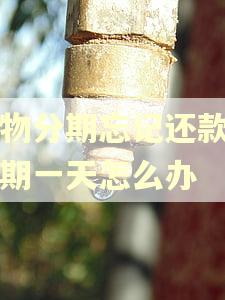 得物分期忘记还款了逾期一天怎么办