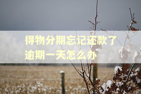 得物分期忘记还款了逾期一天怎么办