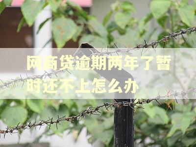 网商贷逾期两年了暂时还不上怎么办