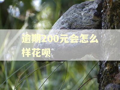 逾期200元会怎么样花呗