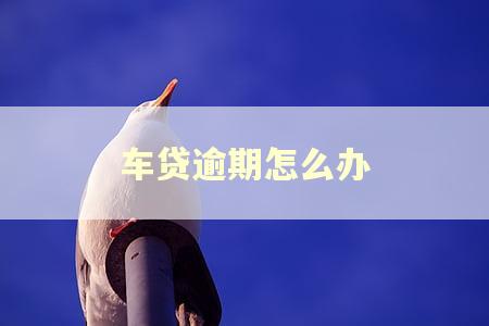 车贷逾期怎么办