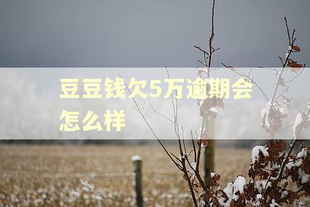 豆豆钱欠5万逾期会怎么样