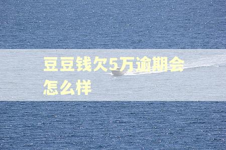 豆豆钱欠5万逾期会怎么样