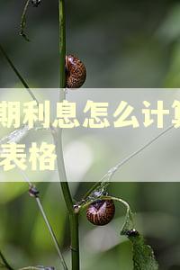 逾期利息怎么计算XLS表格