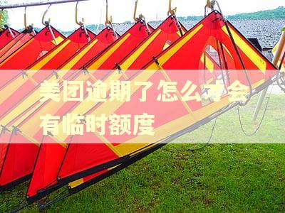 美团逾期了怎么才会有临时额度