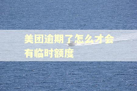 美团逾期了怎么才会有临时额度