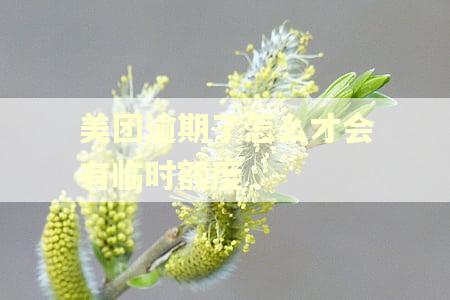 美团逾期了怎么才会有临时额度 美团逾期了怎么才会有临时额度
