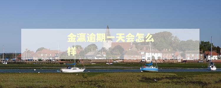 金瀛逾期一天会怎么样