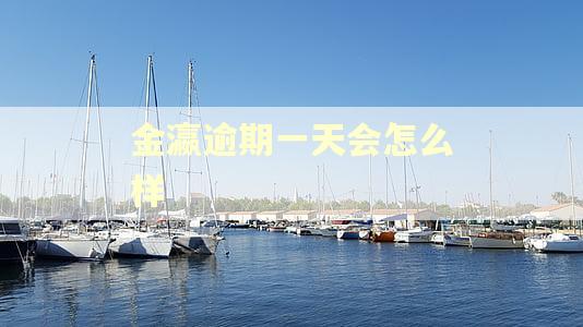 金瀛逾期一天会怎么样