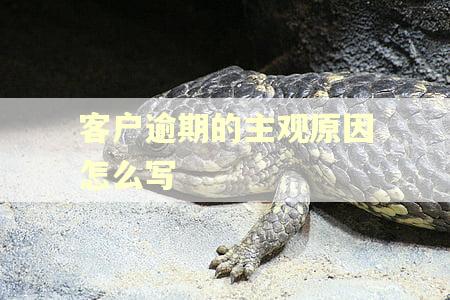 客户逾期的主观原因怎么写