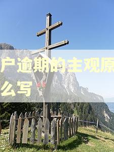 客户逾期的主观原因怎么写