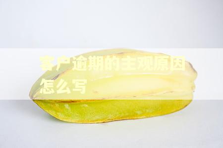 客户逾期的主观原因怎么写 客户逾期的主观原因怎么写