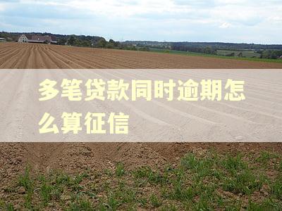 多笔贷款同时逾期怎么算征信 多笔贷款同时逾期怎么算征信