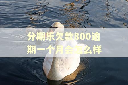 分期乐欠款800逾期一个月会怎么样