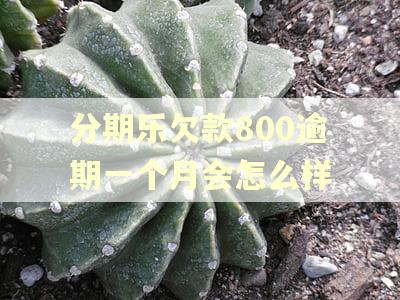 分期乐欠款800逾期一个月会怎么样