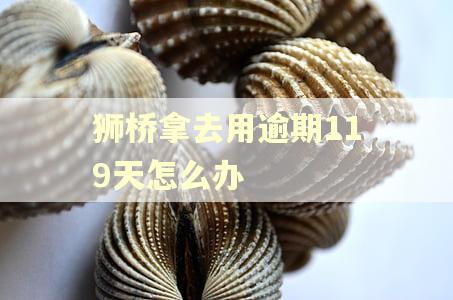 狮桥拿去用逾期119天怎么办