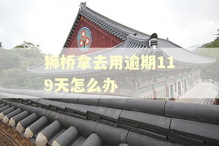 狮桥拿去用逾期119天怎么办