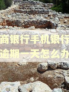 工商银行手机银行贷款逾期一天怎么办