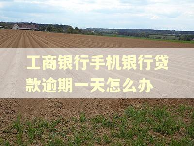 工商银行手机银行贷款逾期一天怎么办