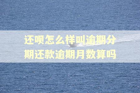 还呗怎么样叫逾期分期还款逾期月数算吗