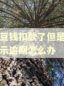 豆豆钱扣款了但是还显示逾期怎么办