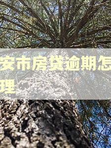 西安市房贷逾期怎么处理