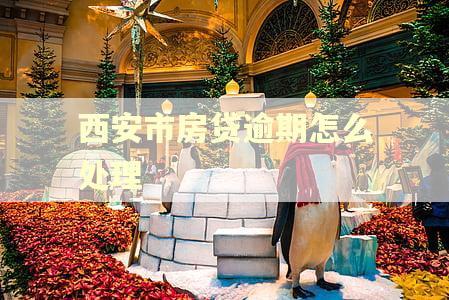 西安市房贷逾期怎么处理