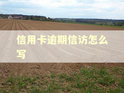 信用卡逾期信访怎么写