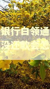宁波银行白领通逾期一年没还款会怎么处理