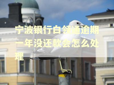 宁波银行白领通逾期一年没还款会怎么处理
