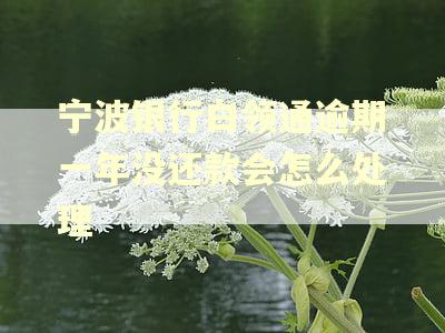 宁波银行白领通逾期一年没还款会怎么处理
