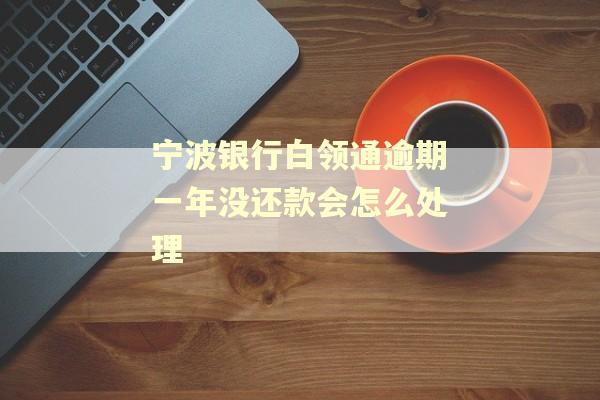 宁波银行白领通逾期一年没还款会怎么处理
