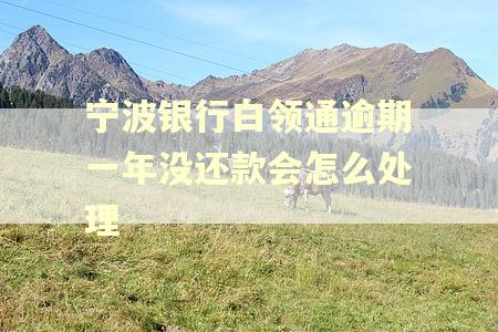 宁波银行白领通逾期一年没还款会怎么处理 宁波银行白领通逾期一年没还款会怎么处理