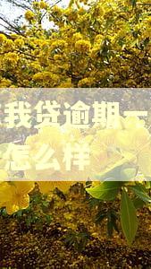 欠你我贷逾期一直没还会怎么样
