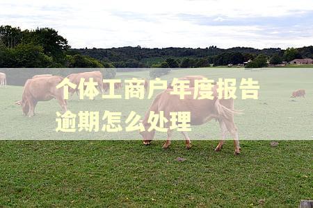 个体工商户年度报告逾期怎么处理