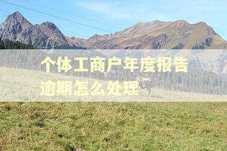 个体工商户年度报告逾期怎么处理
