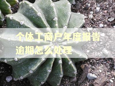 个体工商户年度报告逾期怎么处理