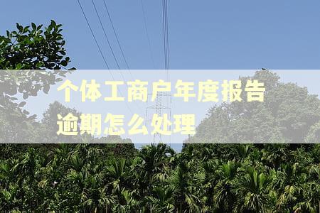 个体工商户年度报告逾期怎么处理