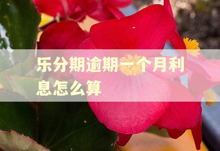 乐分期逾期一个月利息怎么算