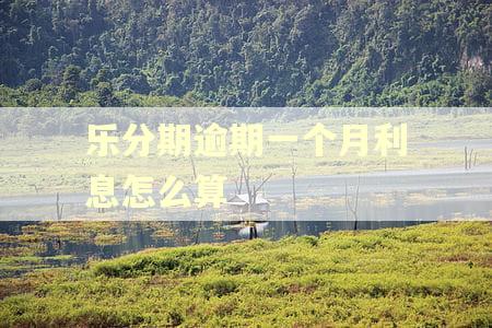 乐分期逾期一个月利息怎么算