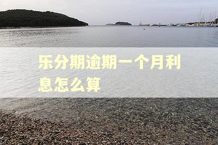 乐分期逾期一个月利息怎么算