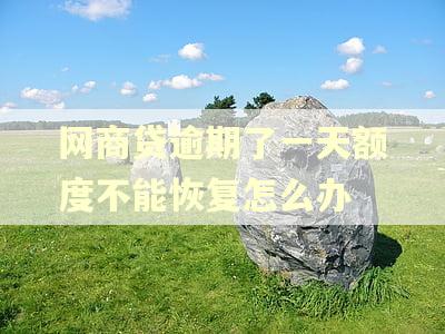 网商贷逾期了一天额度不能恢复怎么办